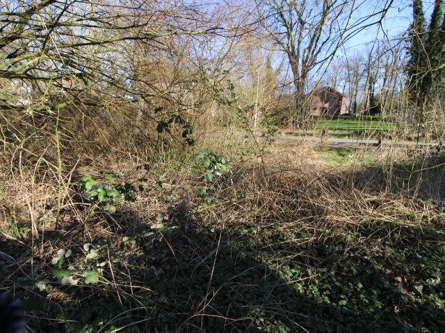 Erdgeschosswohnung kaufen in Abbehausen, Nordenham