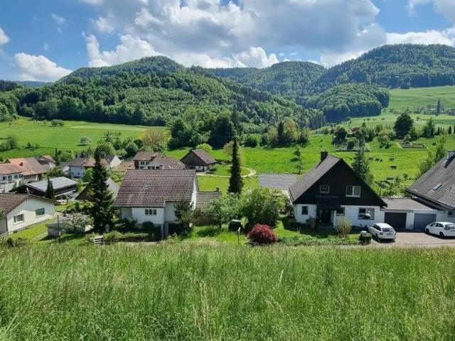 Immobilie kaufen in Bretzwil, Basel-Landschaft
