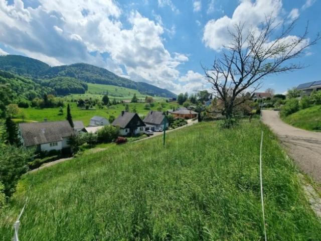 Grundstück kaufen in Bretzwil, Basel-Landschaft