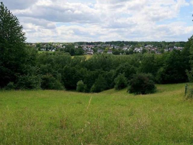 Erdgeschosswohnung kaufen in Bonn, Nordrhein-Westfalen