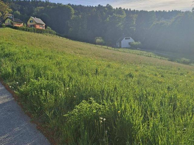 Immobilie kaufen in Steiermark
