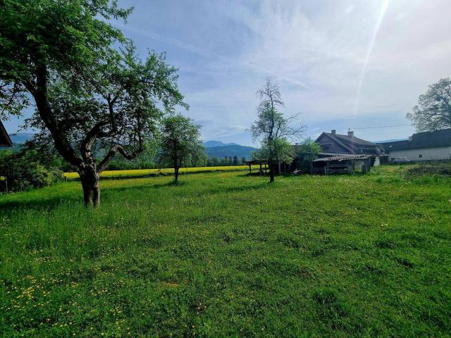 Haus kaufen in Spittal an der Drau