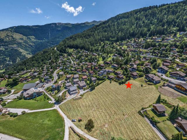 Immobilie kaufen in Baar, Nendaz, Wallis