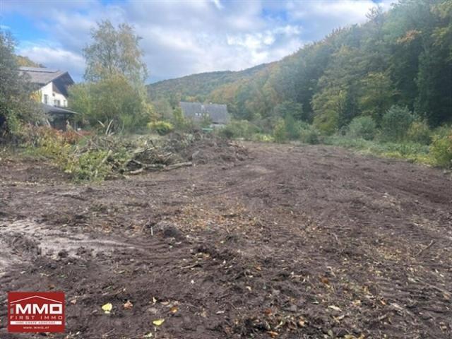 Grundstück kaufen in Klosterneuburg, Niederösterreich