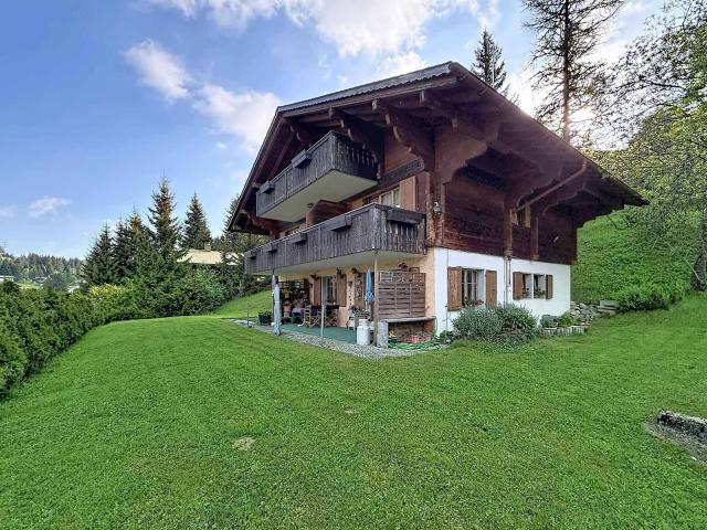 Mehrfamilienhaus kaufen in Château-d'Oex, Waadt
