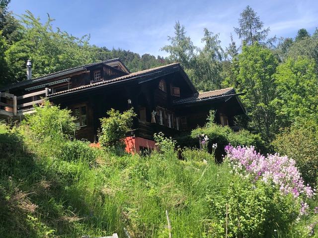 Wohnung mieten in Zeneggen, Wallis