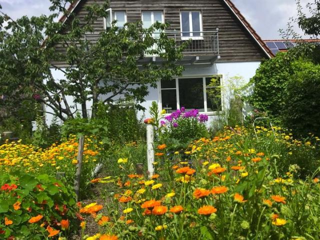 Haus kaufen in Alexandersfeld, Oldenburg
