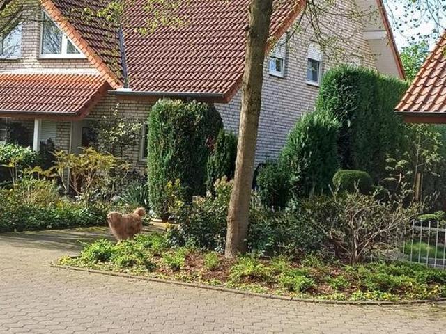 Haus kaufen in Innenstadt, Lage