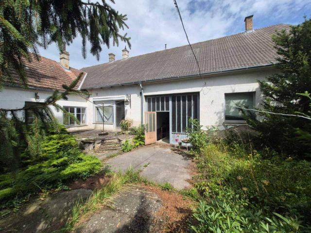 Haus kaufen in Ladendorf, Niederösterreich