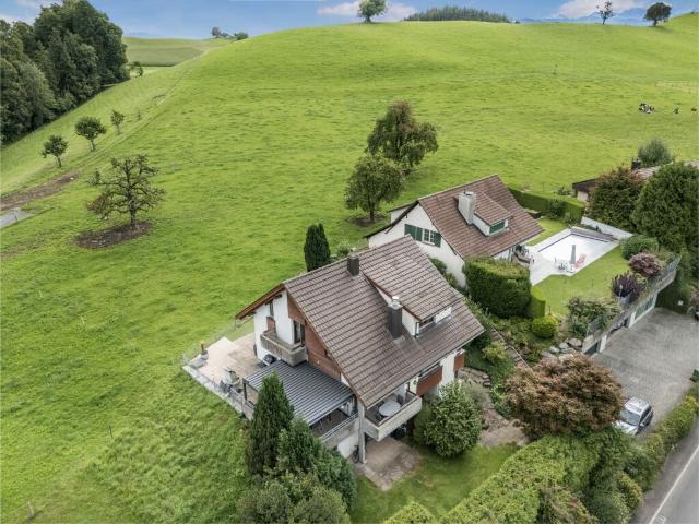 Einfamilienhaus kaufen in Horgen, Zürich