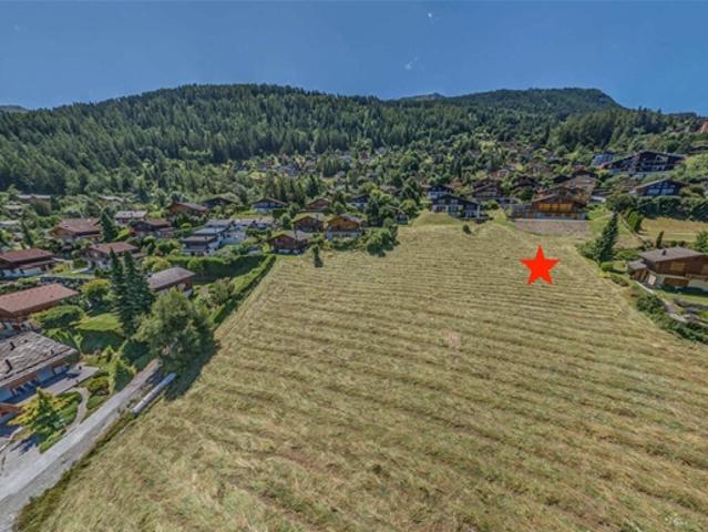Grundstück kaufen in Baar, Nendaz, Wallis