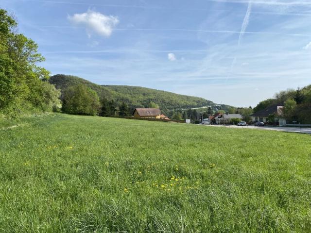 Grundstück kaufen in Hinterbrühl, Niederösterreich