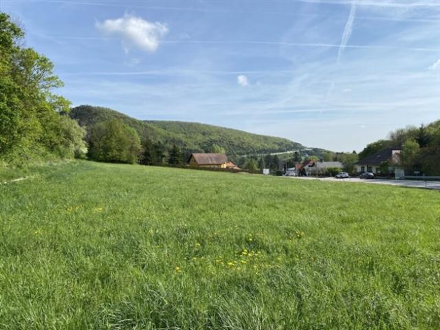 Grundstück kaufen in Hinterbrühl, Niederösterreich