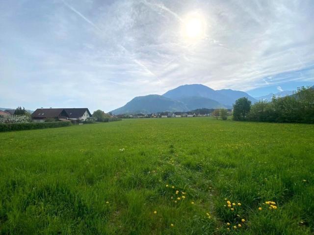 Grundstück kaufen in Ferlach, Kärnten