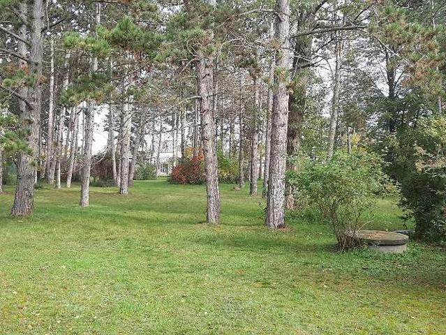 Grundstück kaufen in Gänserndorf, Niederösterreich