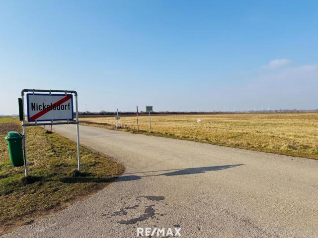 Grundstück kaufen in Nickelsdorf, Burgenland