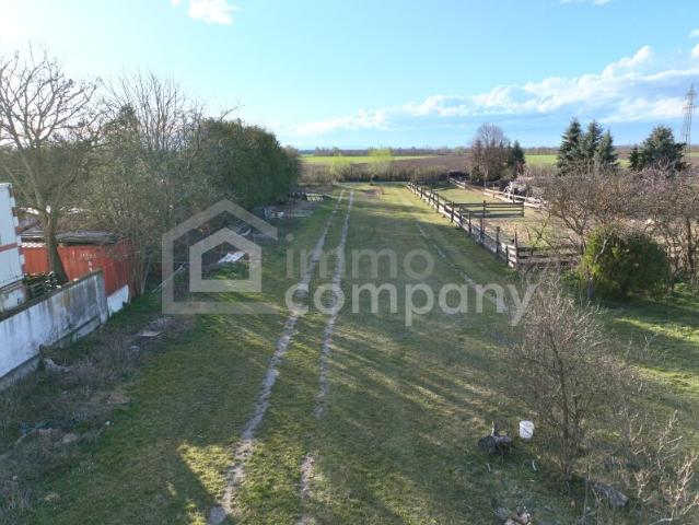 Grundstück kaufen in Katastralgemeinde Pischelsdorf, Götzendorf an der Leitha