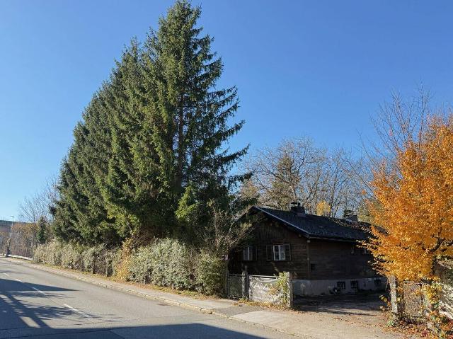 Immobilie kaufen in Kirchbichl, Tirol