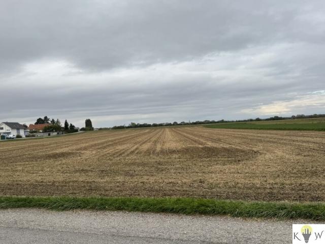 Landwirtschaft kaufen in Sommerein, Niederösterreich