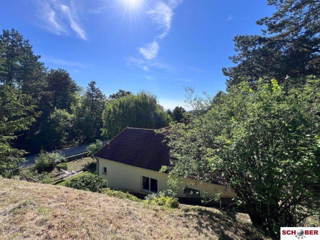 Haus kaufen in Enzesfeld-Lindabrunn, Niederösterreich
