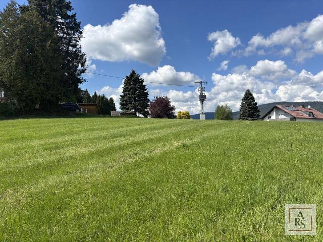 Immobilie kaufen in Aigen im Mühlkreis, Oberösterreich