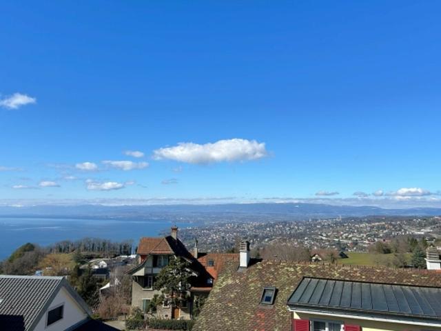 Einfamilienhaus kaufen in Bourg-en-Lavaux, Waadt