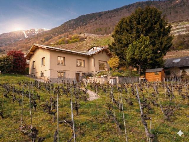 Haus kaufen in Martigny-Combe, Wallis