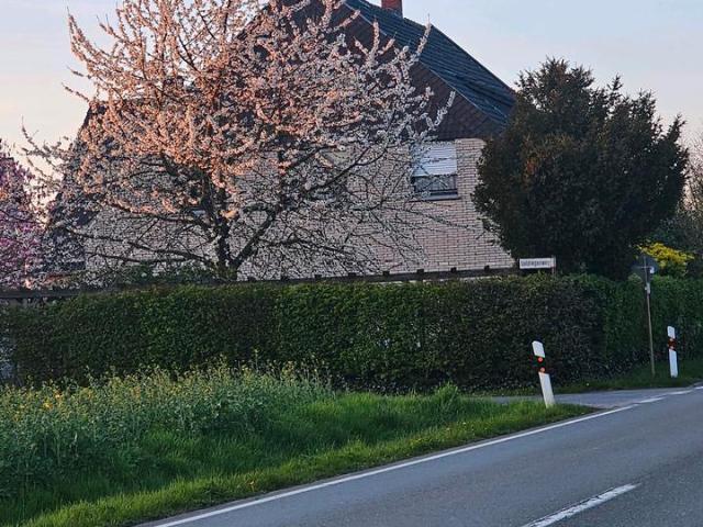 Haus kaufen in Enger, Nordrhein-Westfalen