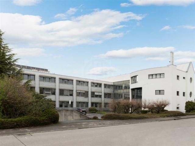 Wohnung mieten in Satigny