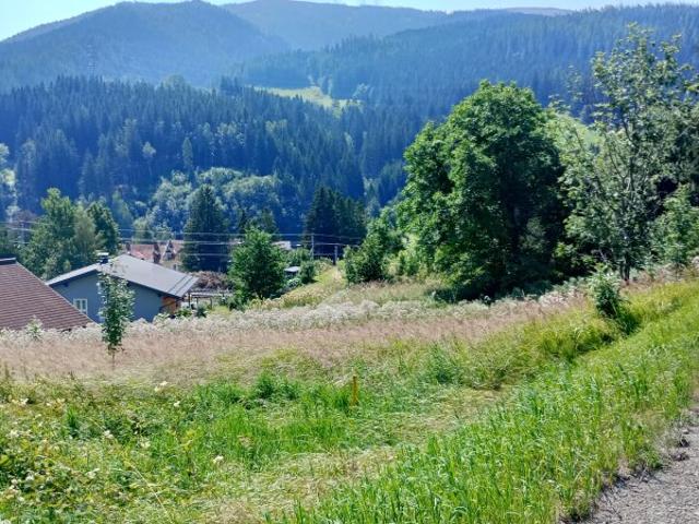 Landwirtschaft kaufen in Spital am Semmering, Steiermark
