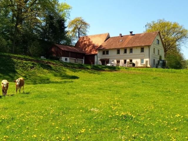 Haus kaufen in Neumühle, Langenzenn
