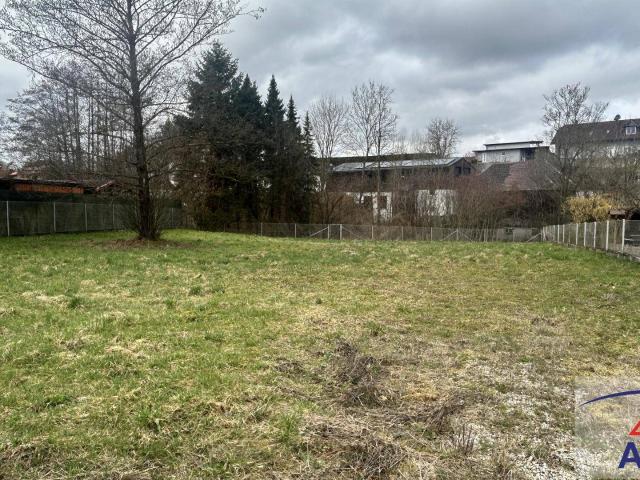 Immobilie kaufen in Bad Wimsbach-Neydharting, Oberösterreich