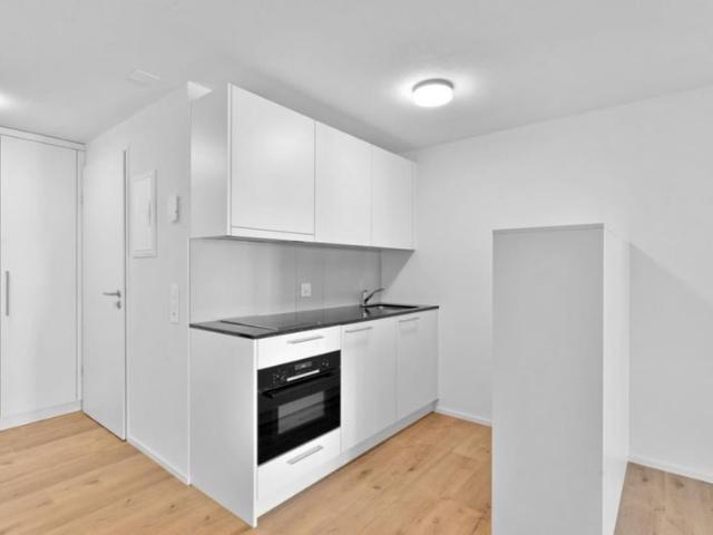 Apartment mieten in Neustadt, Luzern