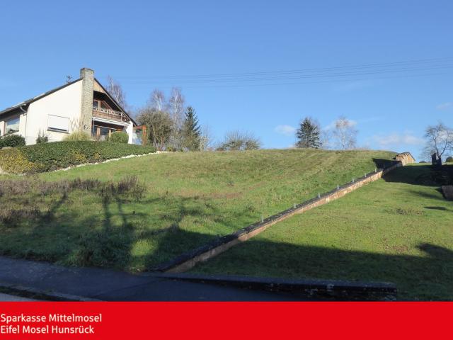 Landwirtschaft kaufen in Bengel, Rheinland-Pfalz