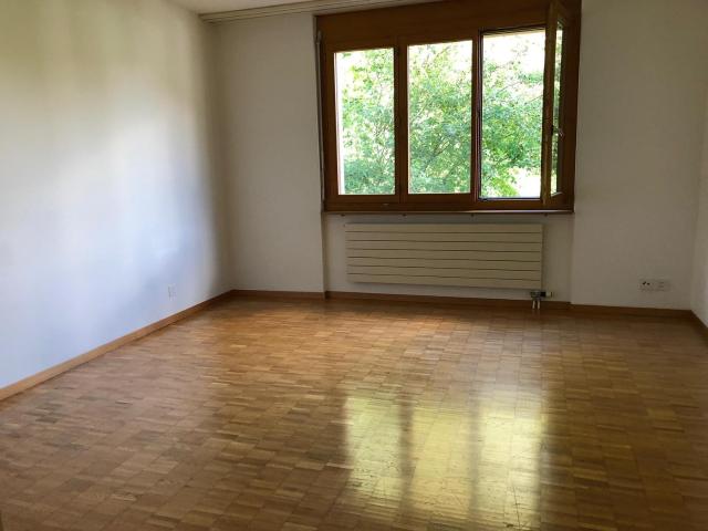 Immobilie kaufen in Hittnau, Zürich