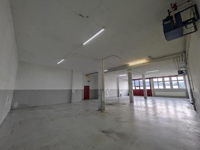 Immobilie kaufen in Brugg (AG), Aargau