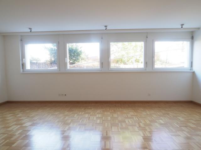 Immobilie kaufen in Reinach (BL), Basel-Landschaft