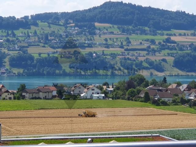 Attikawohnung kaufen in Meisterschwanden, Aargau