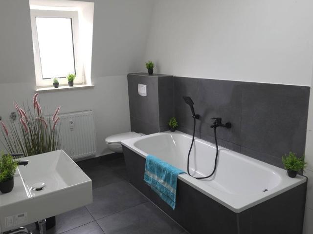 Dachgeschosswohnung mieten in Seiferitz, Meerane