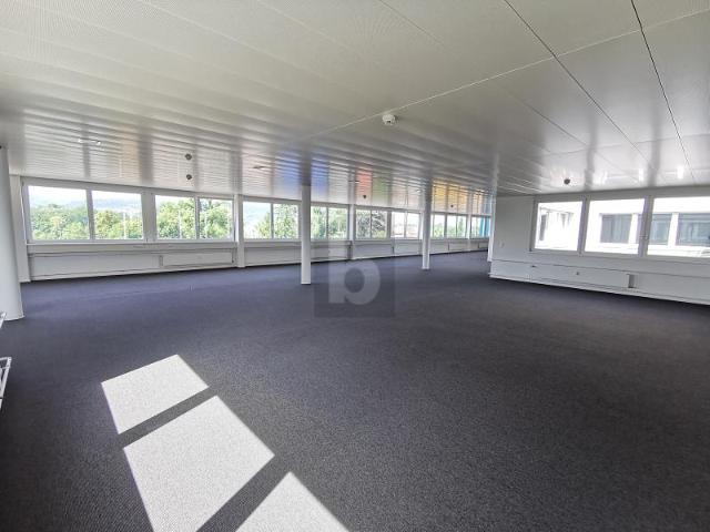 Büro mieten in Pratteln, Basel-Landschaft