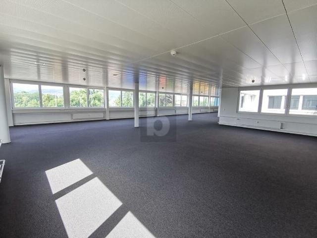 Büro mieten in Pratteln, Basel-Landschaft