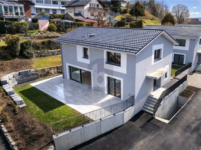 Einfamilienhaus kaufen in Gontenschwil, Aargau