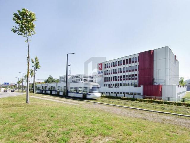 Büro mieten in Wallisellen, Zürich