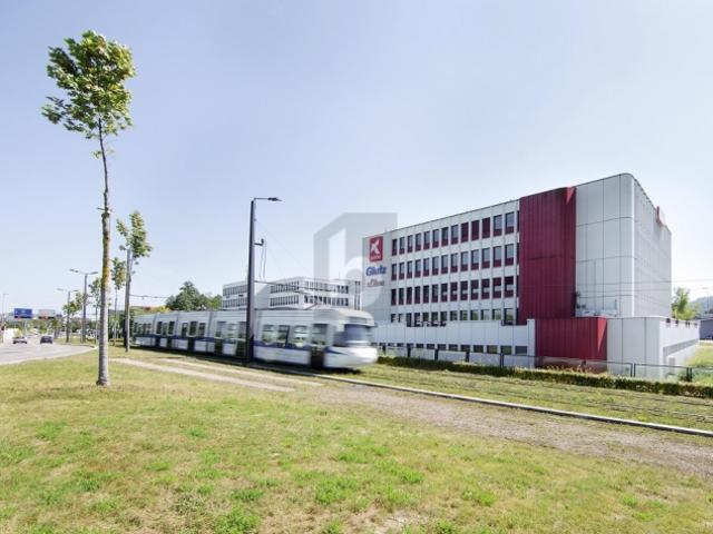 Büro mieten in Wallisellen, Zürich