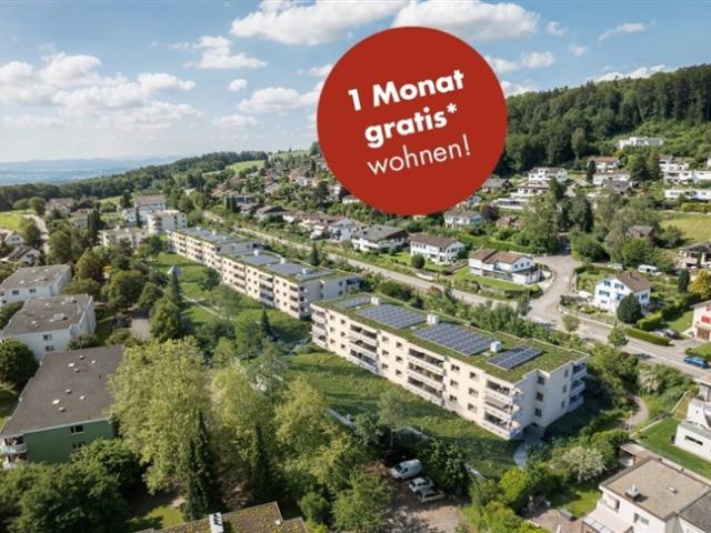 Wohnung mieten in Widen, Aargau