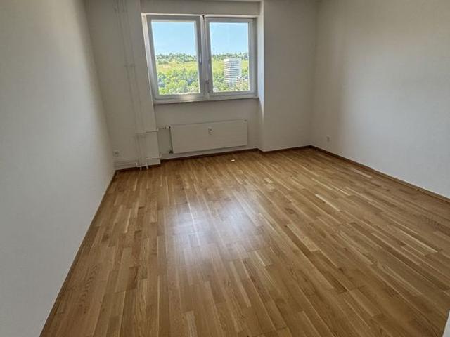 Apartment mieten in Riehen, Basel-Stadt