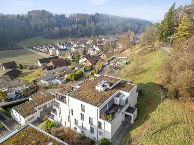 Wohnung kaufen in Stallikon, Zürich