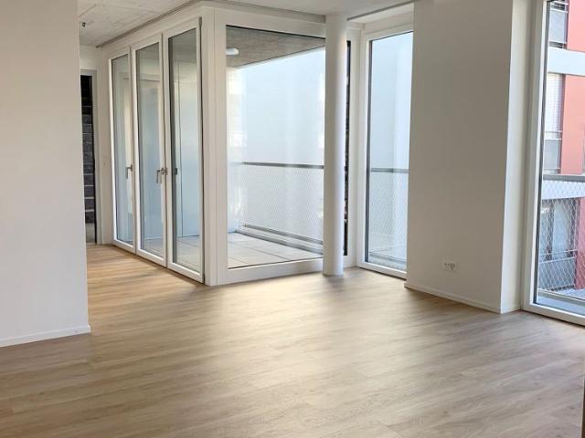 Apartment mieten in Kleinbasel, Basel