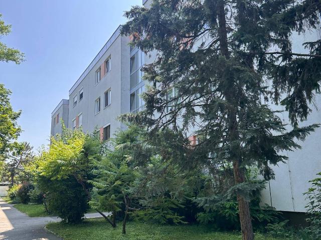 Apartment mieten in Maria Enzersdorf, Bezirk Mödling