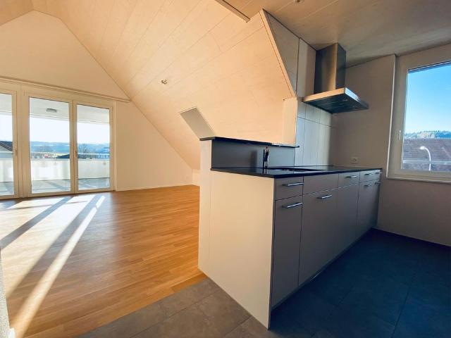 Apartment mieten in Nebikon, Lü